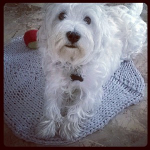 Scopri di più sull'articolo Oggi parliamo di : Tappetino per Lucky